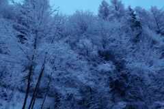 0b05d6c6-55f4-45aa-a880-99df1a129faa