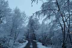 3c061181-081d-45b5-8f37-b40f3fc424dc