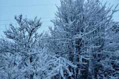 583f59aa-c510-4d7e-9ba6-1e4d6b5c9839