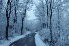 6677df56-a056-4385-9ceb-ede53674d8bf