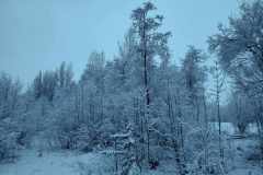 91e7164d-924e-4b65-a0e9-281799862024