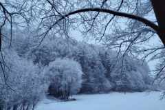 95f11e8c-f16c-42e4-89c5-25ea1f1236a2