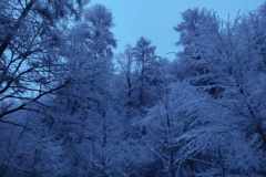 b6977e5e-4326-424c-ab6d-78ee5d608276