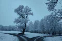 ddf6272d-d7cf-45de-befb-3899ce26df6e