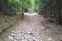 301119863_2422212467918252_8647072892640988758_n