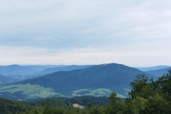 301151348_1711175452594545_8256570476237310474_n