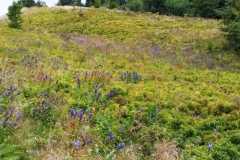 301311409_783095379498879_333892875752652029_n