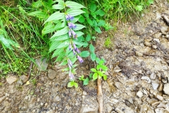 301384932_390095589865430_497648993073373444_n