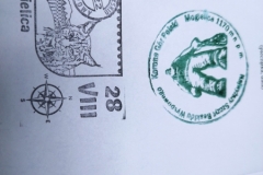 301399056_621908382646778_832736185719886254_n