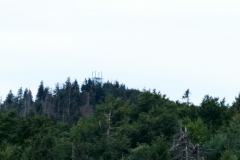 301403602_738708090559281_6168165121953551362_n