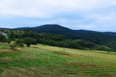 301410737_1389165971579579_4799513663977473292_n