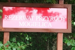 301431275_614897783571397_4747087786513898733_n