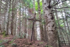 301490079_2896647940644116_4433406954926913893_n