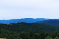 301521444_474634071178852_7065442785762607012_n