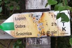 301552179_457683602944161_1604860379262265492_n