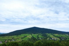 301565518_5332187023543366_627017367689042053_n