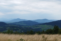 301677532_1270181180407634_5358526271587625042_n