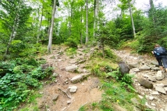 301686333_1144045529512828_2019113376644398067_n