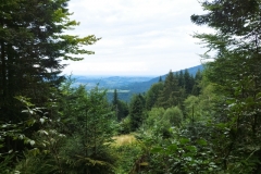 301752086_1128325931105894_312214985098875267_n