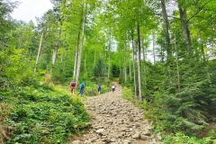 301810341_1339570423240543_3839658714265497185_n