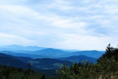 301927516_800863571088134_3512833317952010166_n