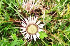 301937966_1477435542725860_7078105442646898008_n