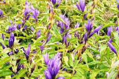 301976342_302041895476160_628813281892324763_n