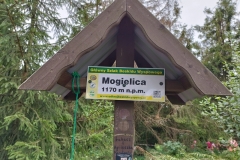 301979792_406280798272411_9049434815413594353_n