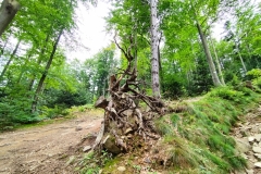 302030891_780216959766293_7930431669986213837_n