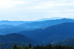 302108325_799465701193722_3167746739108441944_n