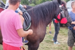 302112941_2014096305448292_168206669616162655_n