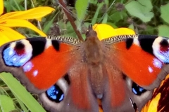 WhatsApp Image 2018-07-07 at 13.55.04 (2)