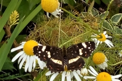 WhatsApp Image 2018-07-07 at 13.55.46 (2)