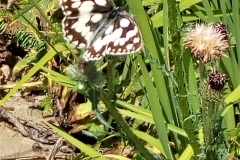 WhatsApp Image 2018-07-07 at 13.56.15 (2)