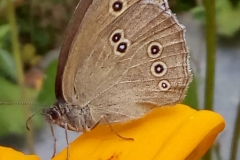 WhatsApp Image 2018-07-07 at 13.56.22 (2)