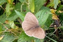 WhatsApp Image 2018-07-07 at 14.04.12