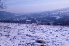 269789005_4649583745130654_6574774109384279713_n