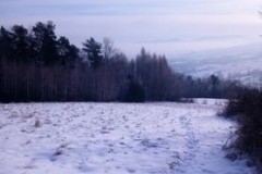 269795368_205172711733655_1459169030363371786_n