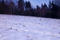 269825726_1113639215840049_7924658645912726275_n