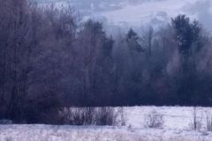 269835364_3131865900469809_2190426697365392847_n