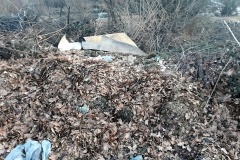 52692366_2288753378048535_3673394620991012864_n