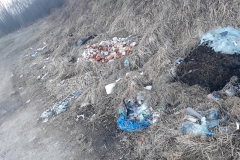 52857193_663863170697101_2796467581681139712_n