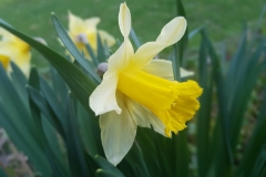 30726762_626946244313022_8321253588424720384_n