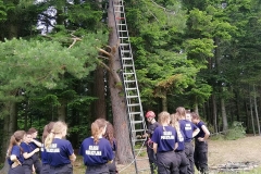 34667637_2245976205418319_4988851857175609344_n