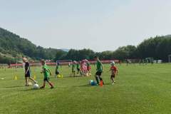 received_213921957292446