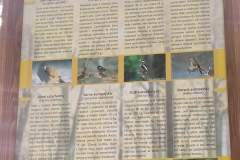 received_360065458851566