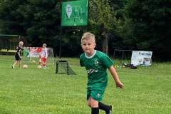 received_3842777405851550