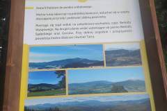 received_807195683521797