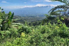 126557623_815078062668920_6872669950228946369_n