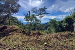 126875966_821183708427750_5309427136171143823_n